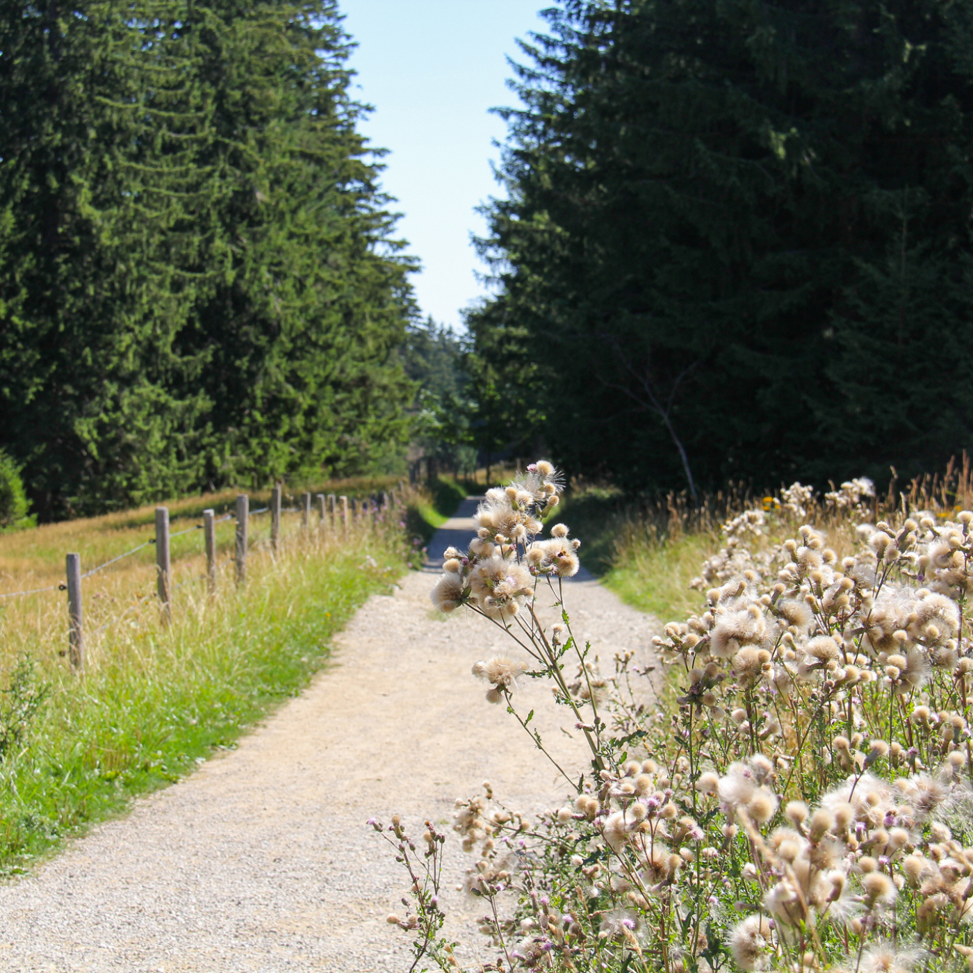 Leichte Wanderungen